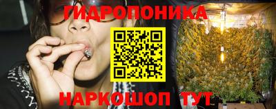 трава Новокубанск