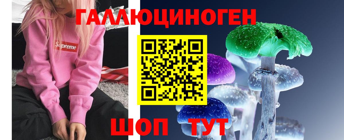 Псилоцибиновые грибы Psilocybe  Галлюциногенные грибы GOLDEN TEACHER  Вход с VPN  закладки  Томск 