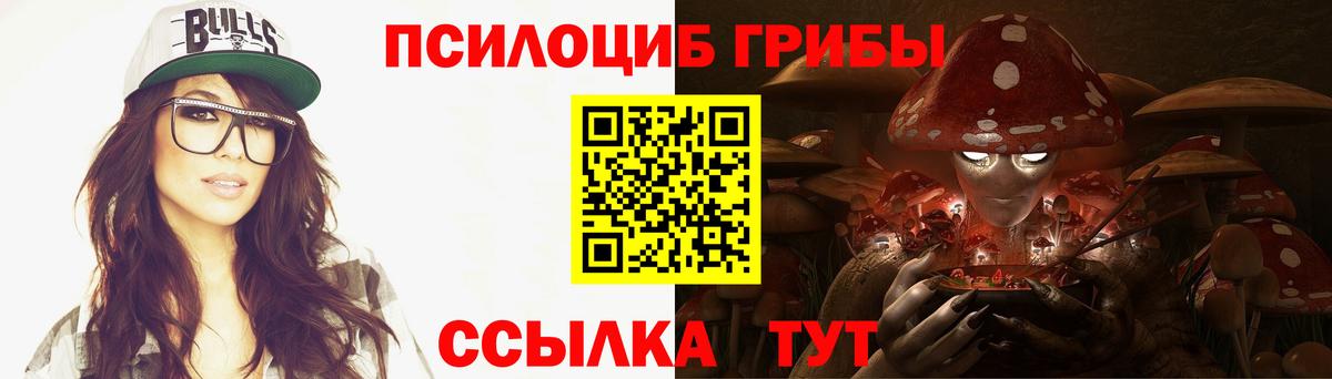 Псилоцибиновые грибы мицелий Томск