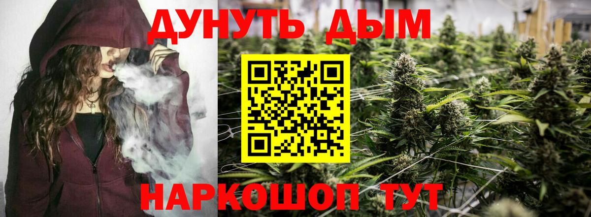 Каннабис планчик  Шишки марихуана тримм  Томск  Вход с VPN  Шишки марихуана семена 